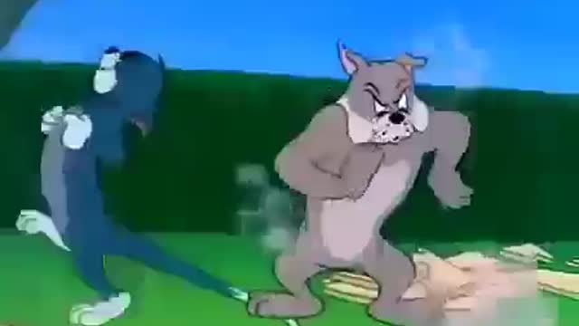 Tom & jerry funny Video | Funny kids cartoon video | Cartoon for kids | Cartoon tv