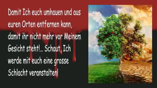 So werden die wahren und falschen Propheten enthüllt sein 🎺 Die Trompete Gottes