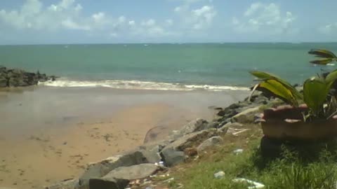 Vista para o mar de tirar o fôlego, em um dia de sol, há plantas e pedras [Nature & Animals]