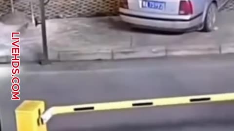 crazy people