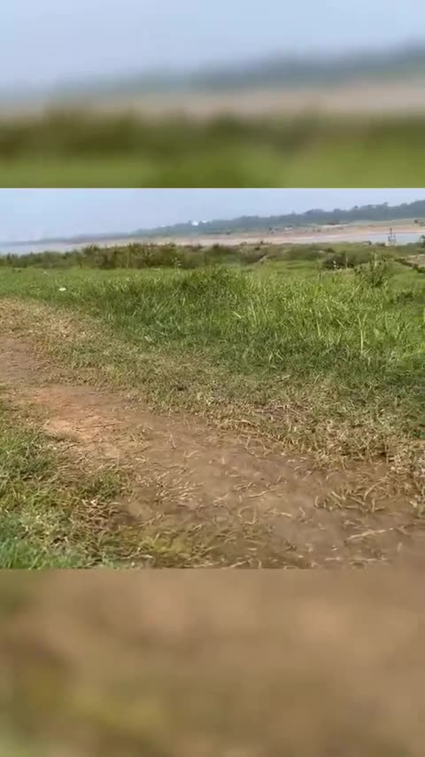 Good weather out for a walk 😎