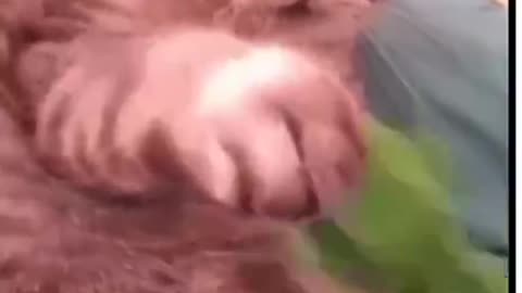 Hello Facebook team sir I didn't see it is going well with you and