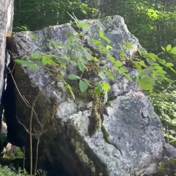 Freedom Cash Geocaching Paper Wallet On The Rocks