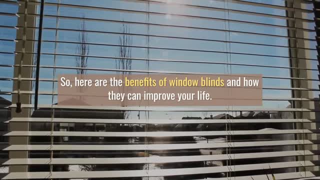 Window Blinds Ottawa Ontario