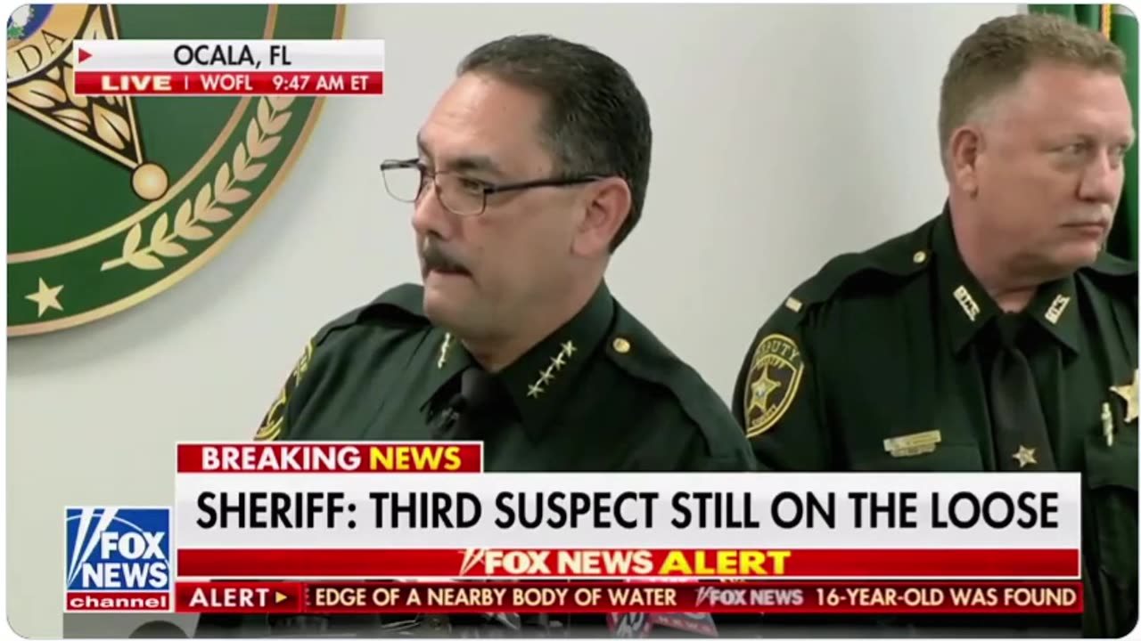 Sheriff Destroys Liberal Reporter About Gun Control