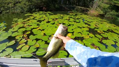 Fishing a BIG Worm for Pond MONSTERS!
