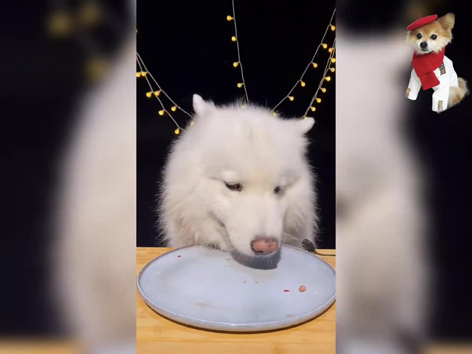 Food Reviews with Husky