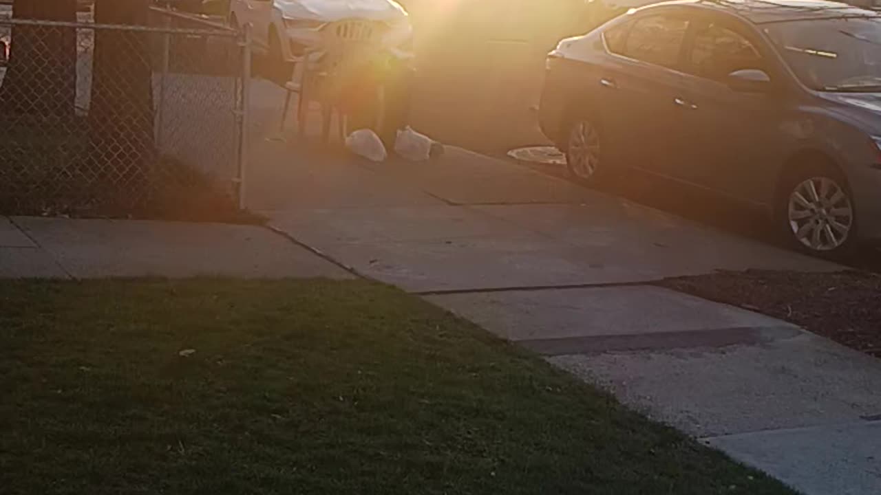 Queens sunset