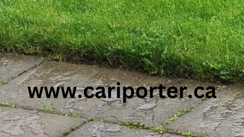 Hail falling on Patio and Grass lawn in Backyard in Spring in Canada