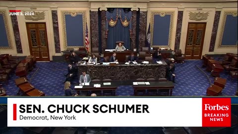 'Nobody Is Above The Law'- Chuck Schumer Reacts To Guilty Verdict In Trump Hush Money Case