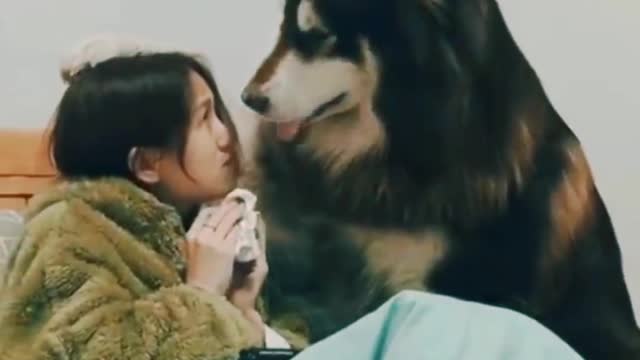 Dog 🥰🥰