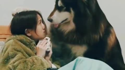 Dog 🥰🥰
