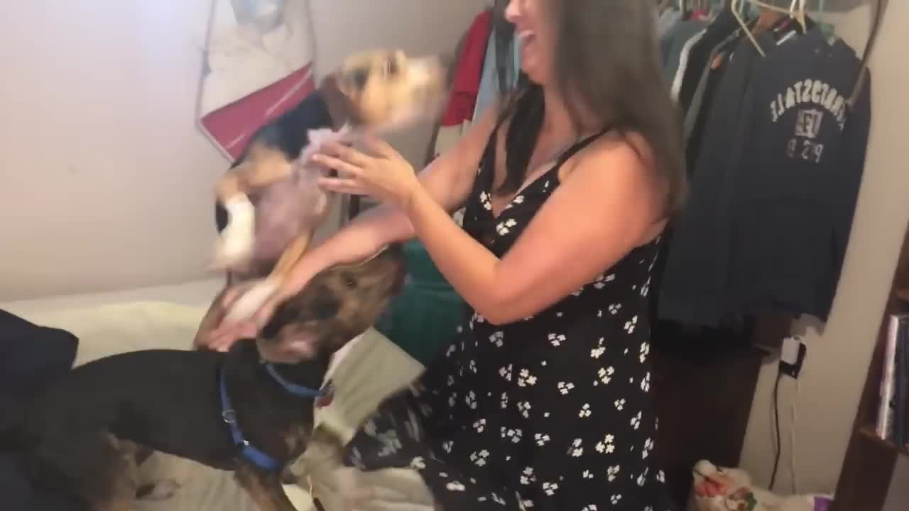 Animals Reunited With Owners AFTER YEARS!