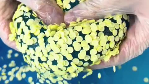 Name THIS Slime... 🍋