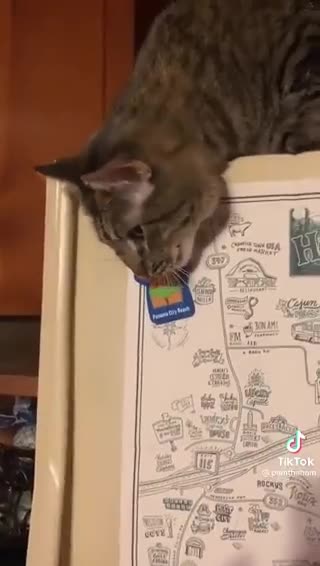 😂😂😂😂😂😂