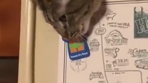 😂😂😂😂😂😂