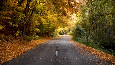 Amazing Road View with Bollywood sad Song