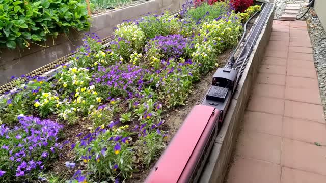 030. Big Model Trains Running On Tracks Around The Flower Garden