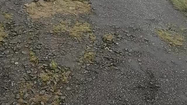 Sri lanka with matale rewestern