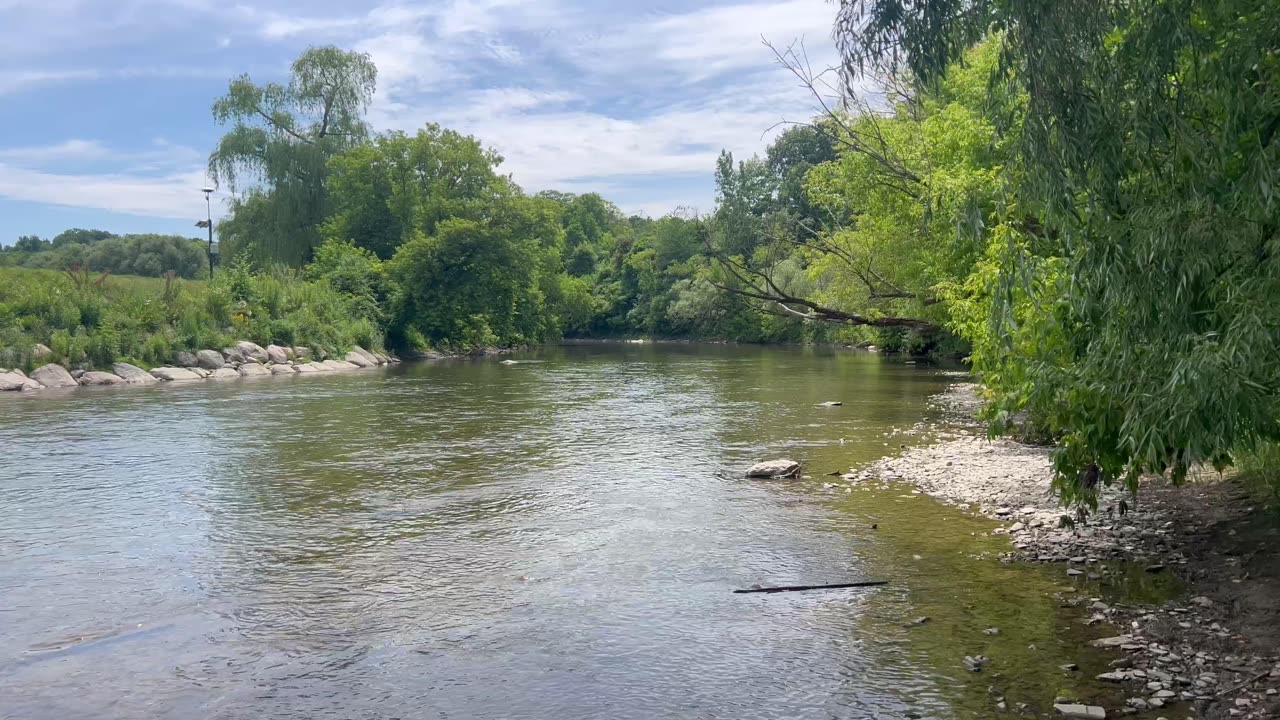 On the bank of the Humber River Toronto