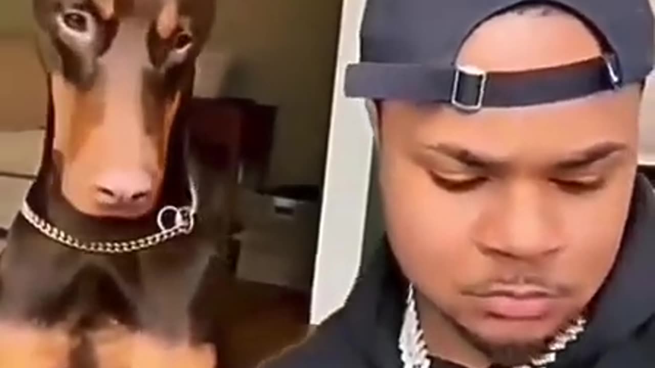 Funny reaction 🤣