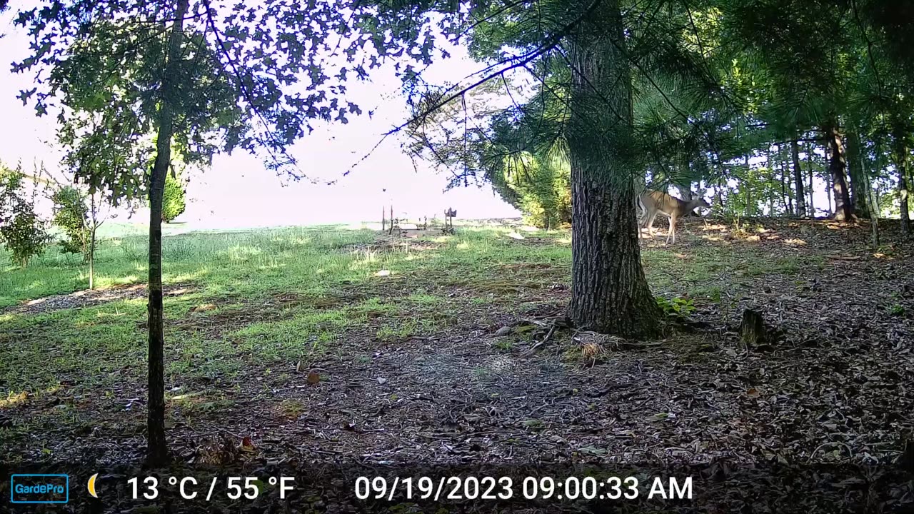 The Woods – 09/19/2023