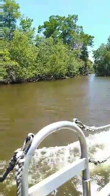 Louisiana Swamp Tour Fan Boat