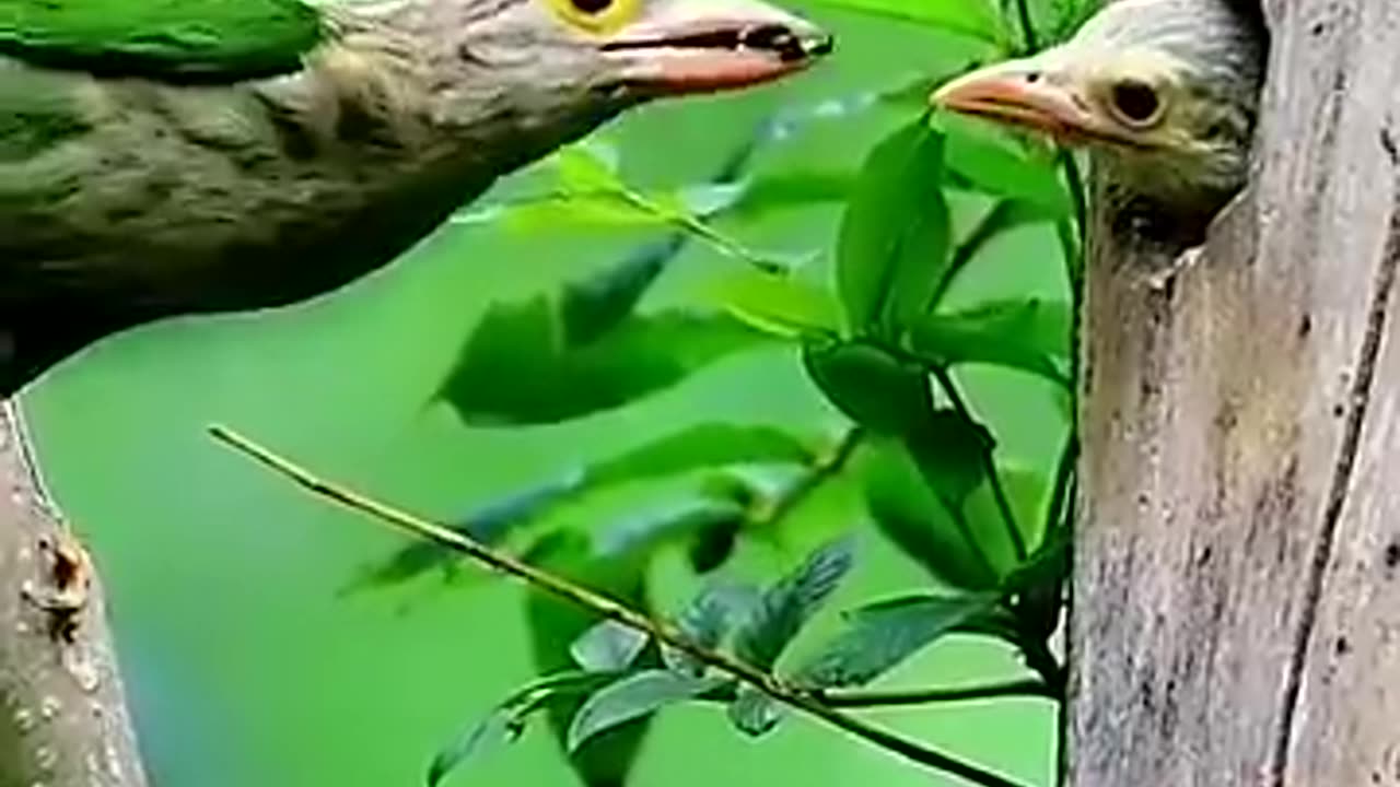 Cute animals 🥰😇