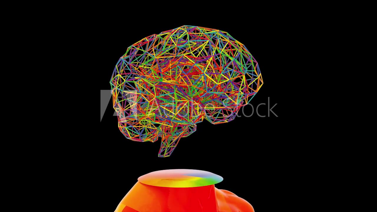 Human head anatomical model with brain model