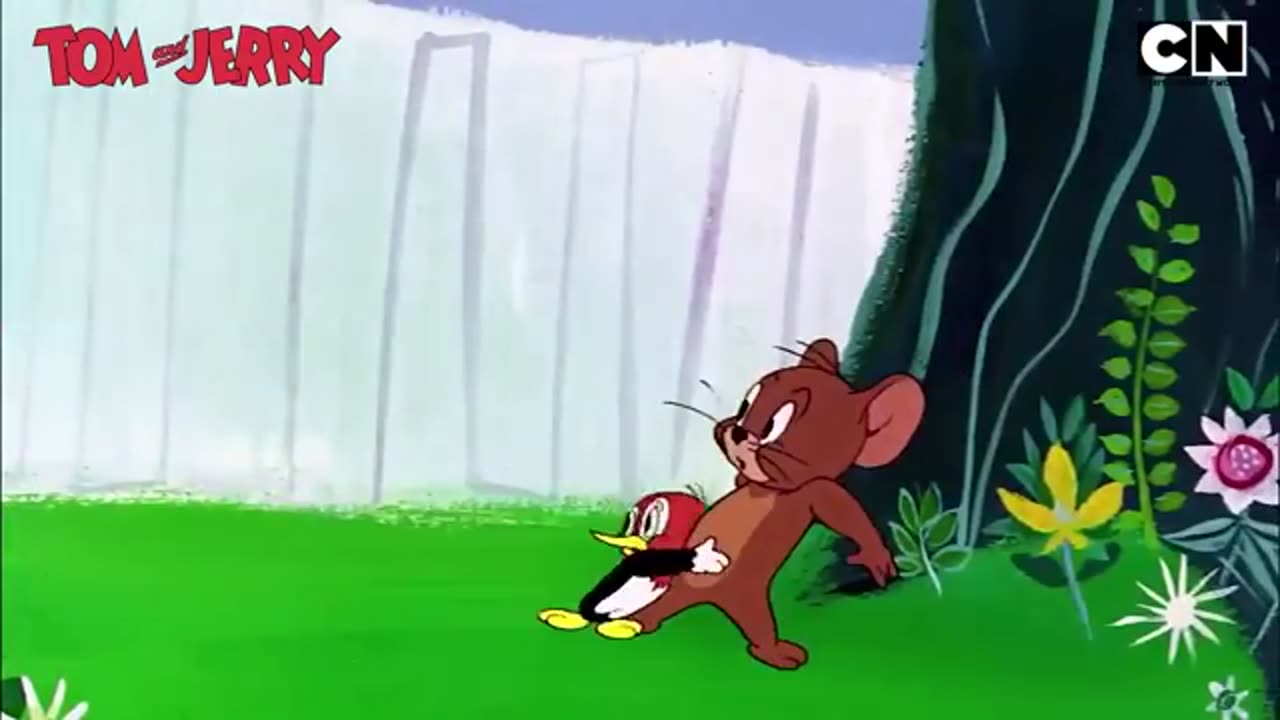 Tom & Jerry 😺🐭| Catch the Hour-Long Cat and Mouse Game 😆| Funny Compilation 🤩| Cartoon Network ✨