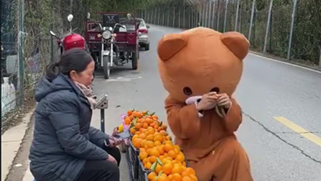 Best Funny pipi bear video 2023 Chiness funny clips daily 🤣