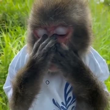 When he can't guess what you're offended by...