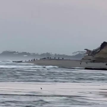 EE.UU | Un grupo de inmigrantes ilegales