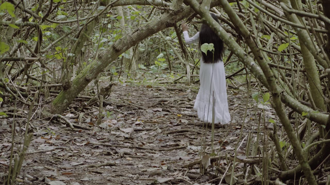 Spirit of the Dead by Ponnambalam Films #Tahiti #Iamnotyoureve #Gauguin