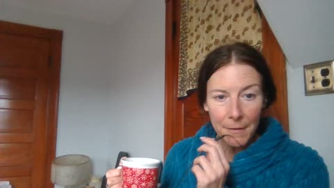 prisoner in the usa NNA