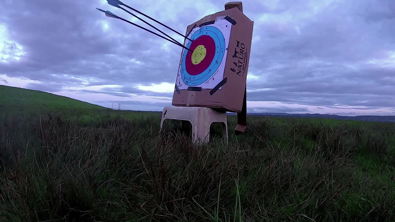 Learning to Shoot A Bow In 10 Days