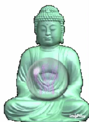 Buddha Gif! ☯️