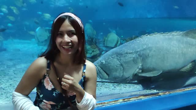 Crazy Big fish Ocean Park Manila