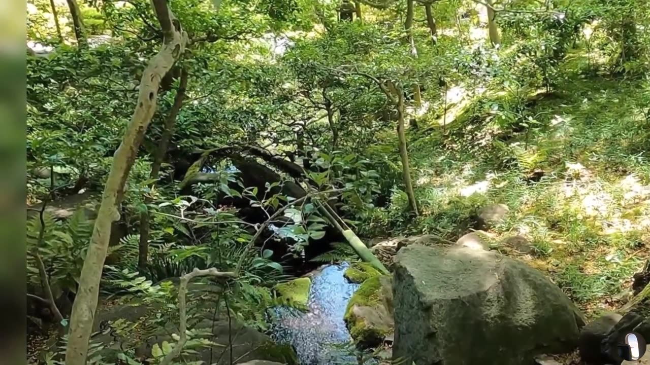 Nezu Museum Tokyo Japan Tour