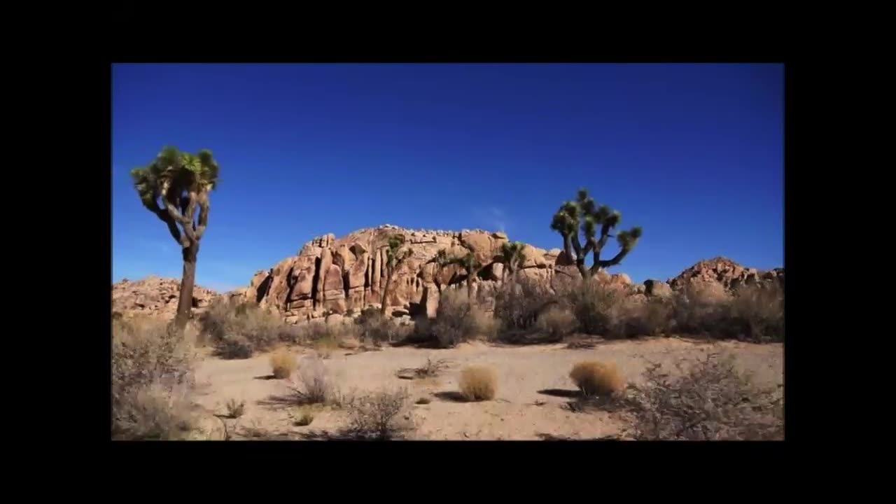 Joshua Tree (1 of many visits) quick video