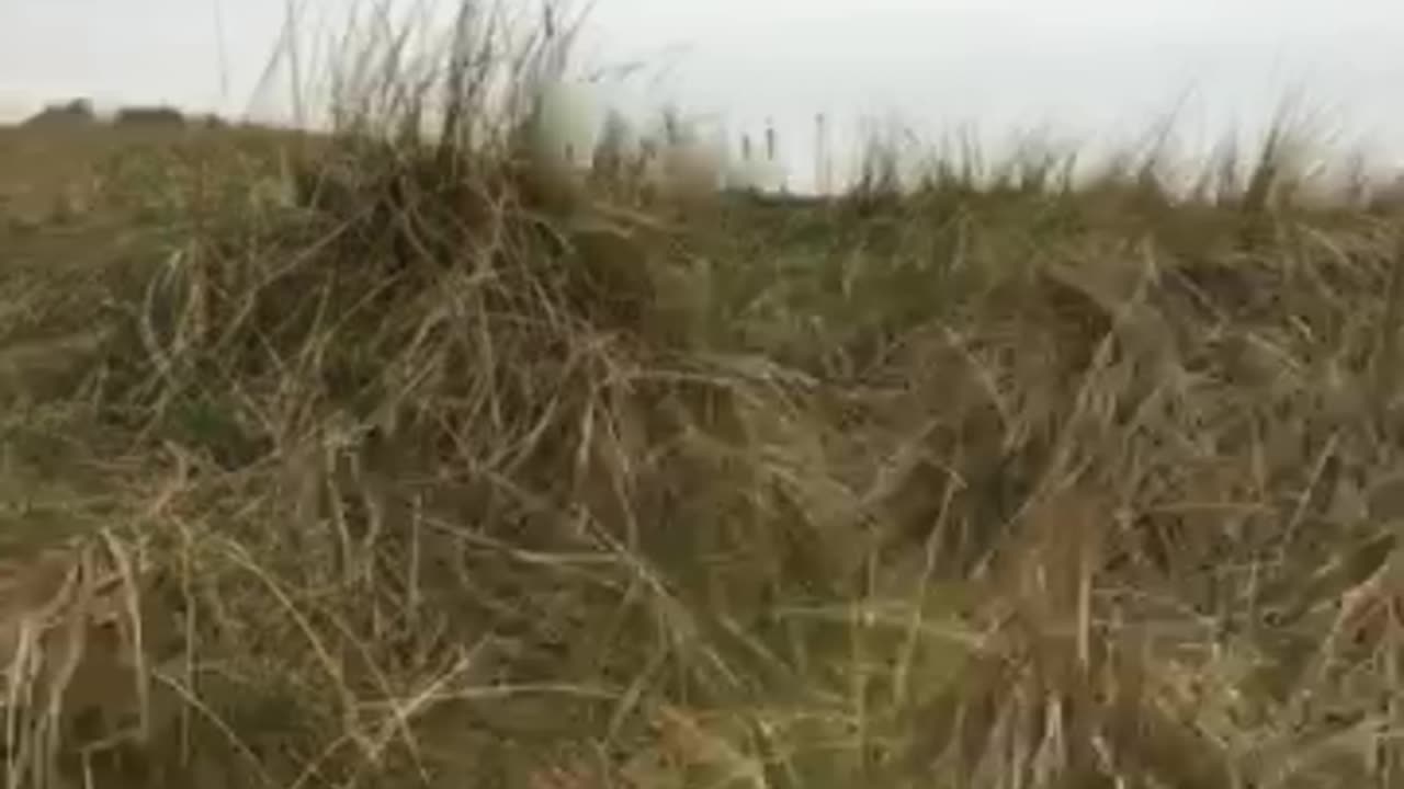 NOTHING IS GOING TO HAPPEN