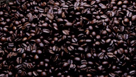 Coffee "Java"