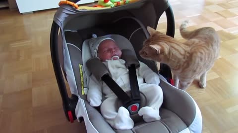 Adorable baby scares cat to death!