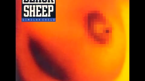 Black Sheep