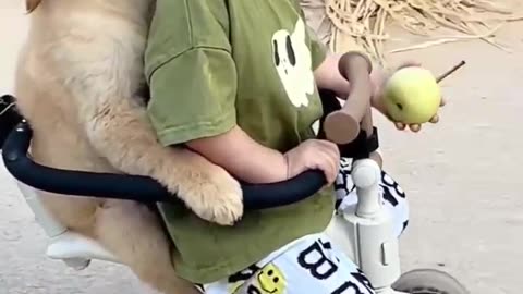 Riding the bicycle with the kid