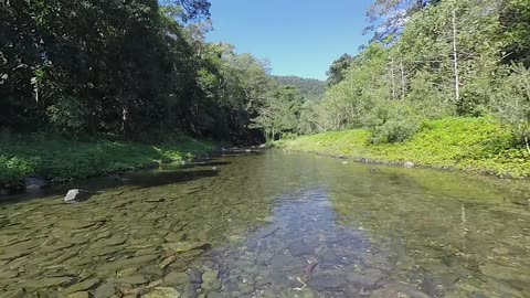 Virtual Nature and Relaxation of Mind