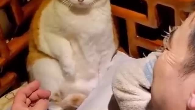 Funniest cat you make very happy as you want😀😀😀😀😀😀