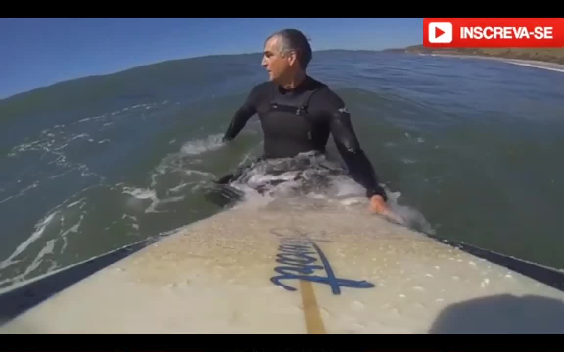 #TOP #FIVE SHARK ATTACKING SURFERS AND DIVERS