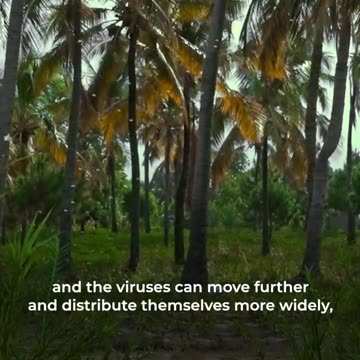 WHO Shifts Its Focus To The Climate Scam