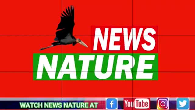 News Nature